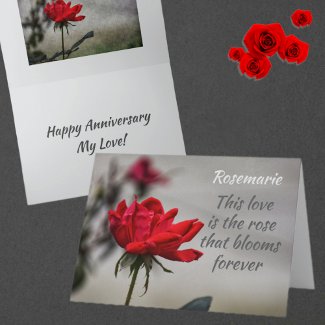 Red Rose Love Blooms Romantic Anniversary