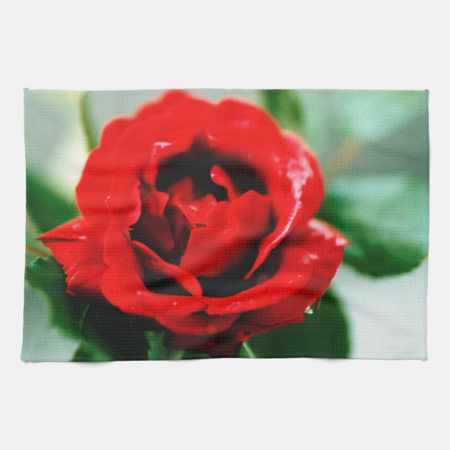 Red Rose Love  Kitchen Towel (Horizontal)