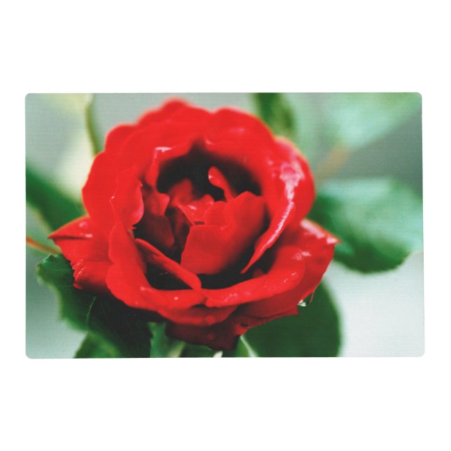 Red Rose Love   Placemat (Front)