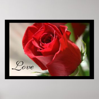 Red Rose Love Poster Print by TheInspiredEdge at Zazzle
