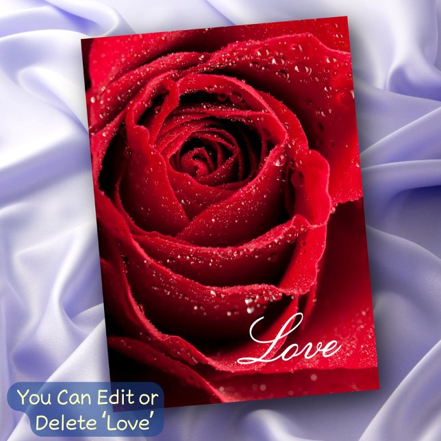 Red Rose Love Relationship Friendships All Purpose Card (Creator Uploaded)
