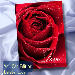 Red Rose Love Relationship Friendships All Purpose Card