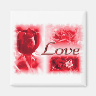 Red Rose Love Trio Magnet
