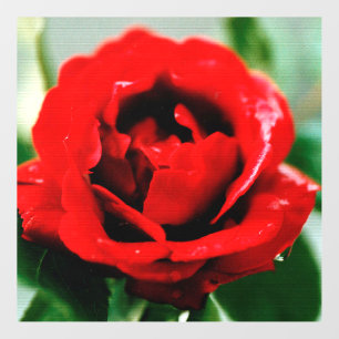 Red Rose Love Wall Decal