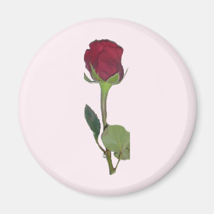 Red Rose Magnet