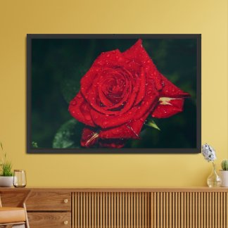 Red Rose Matte Poster Print