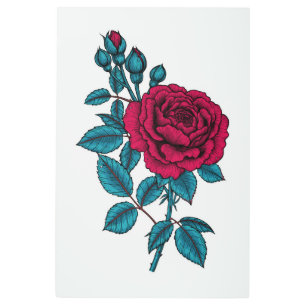 Red rose metal print