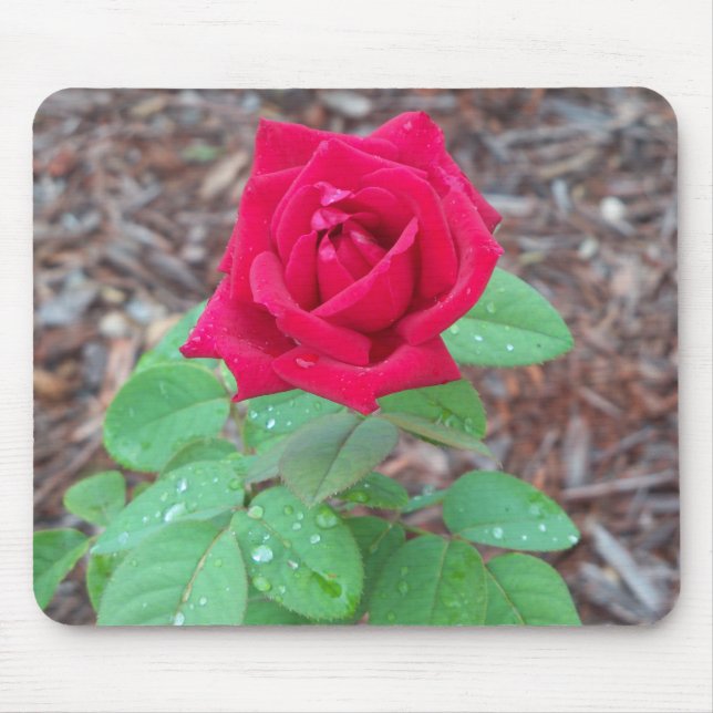 Red Rose Mouse Pad (Front)