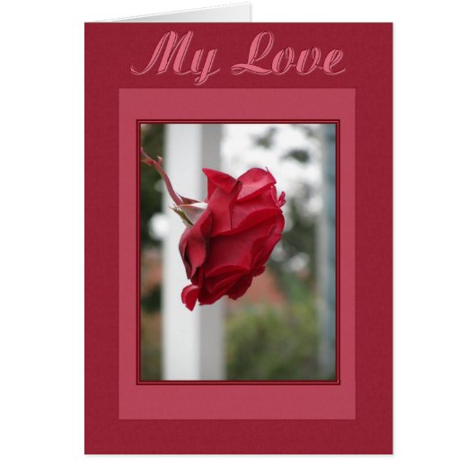 Red Rose My Love Cards (Front)
