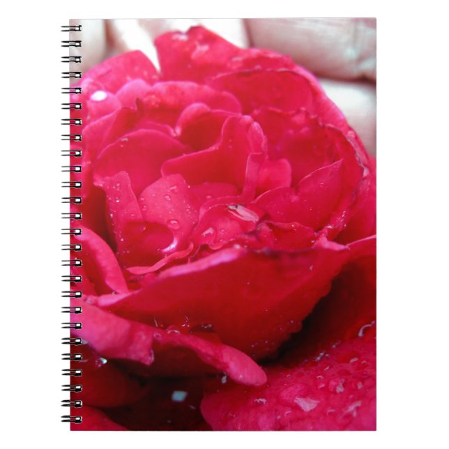 Red Rose Notebook (Front)