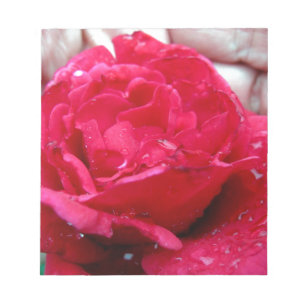 Red Rose Notepad