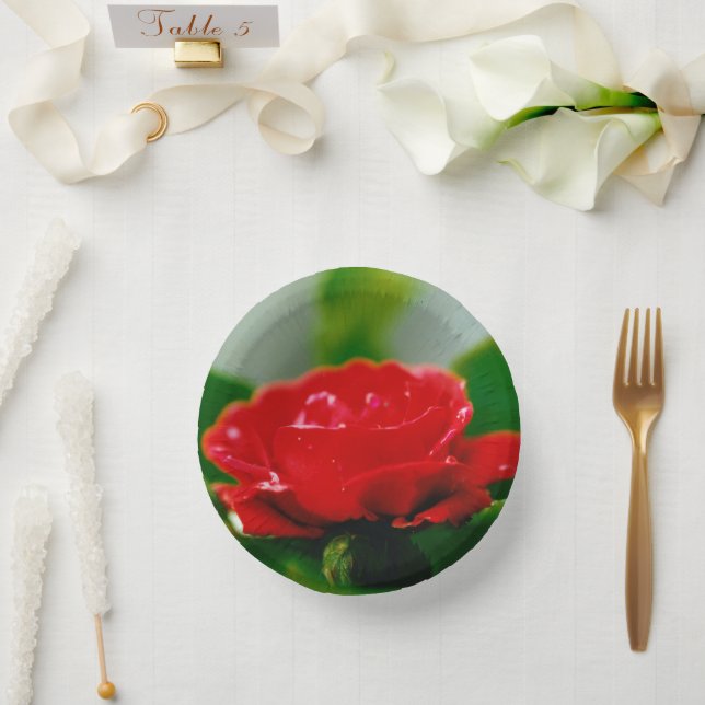 Red Rose of passion covered with dew drops   Paper Bowls (Wedding)