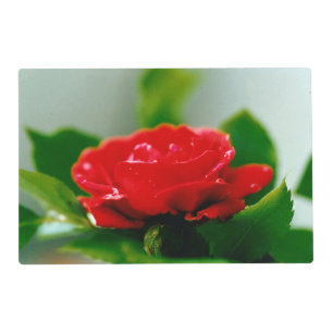 Red Rose of passion covered with dew drops Placemat