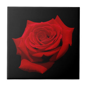 Red Rose on Black Background Ceramic Tile