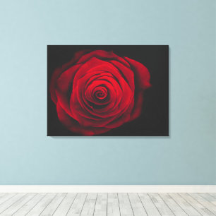 Red rose on black background vintage effect canvas print