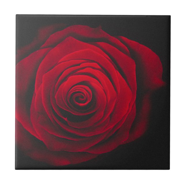 Red rose on black background vintage effect ceramic tile (Front)
