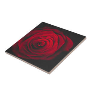 Red rose on black background vintage effect ceramic tile