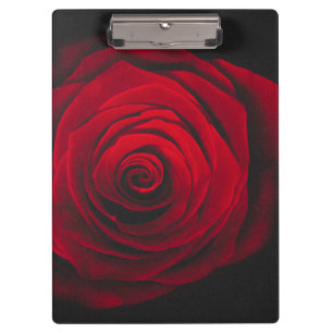 Red rose on black background vintage effect clipboard