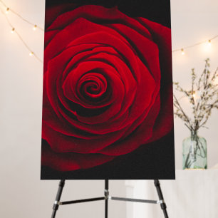 Red rose on black background vintage effect foam board