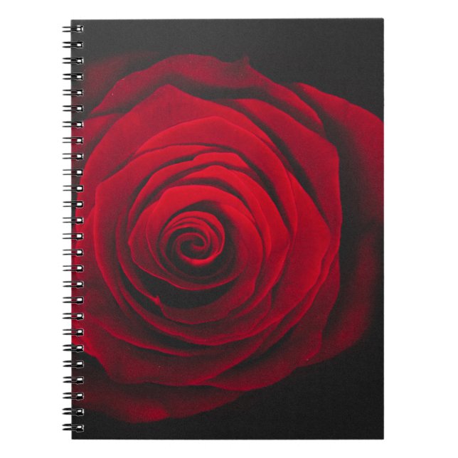 Red rose on black background vintage effect notebook (Front)