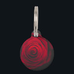 Red rose on black background vintage effect pet ID tag<br><div class="desc">Macro photo of a beautiful red rose on black background with vintage grainy effect.</div>