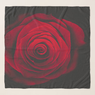 Red rose on black background vintage effect scarf