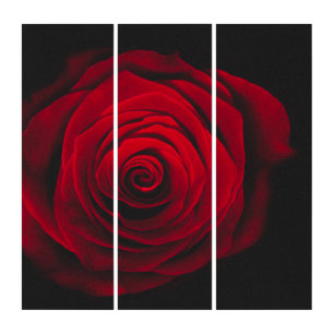 Red rose on black background vintage effect triptych
