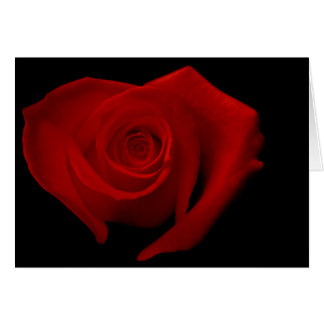 Red Rose on Black Cards