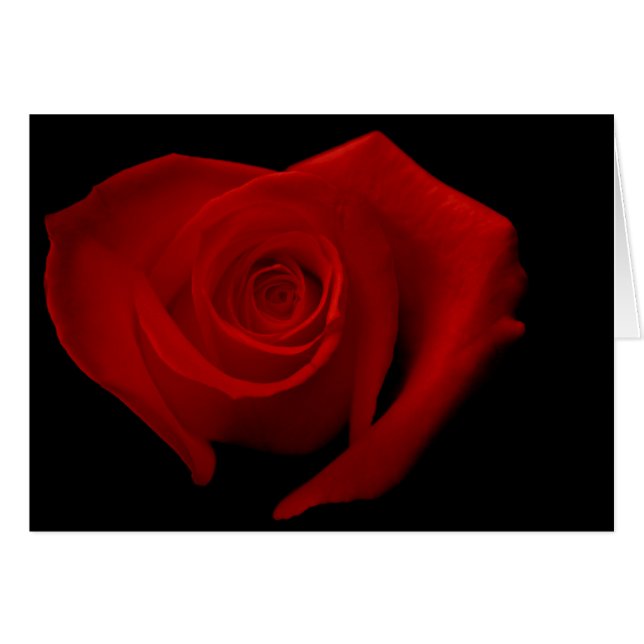 Red Rose on Black Cards (Front Horizontal)