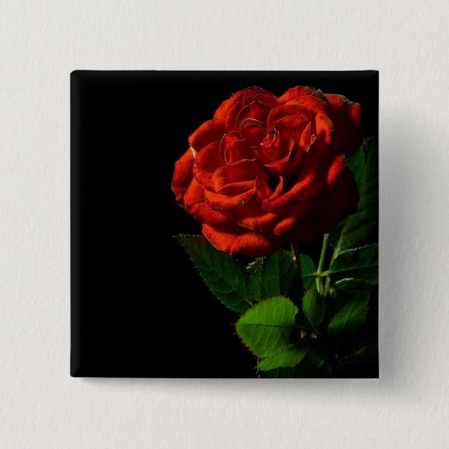 Red Rose on Black Floral Pinback Button (Front)