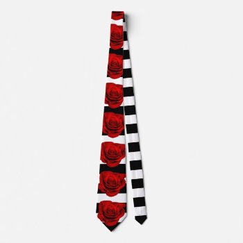 Red Rose On Black & White Stripes Personalized Tie by My_Wedding_Bliss at Zazzle