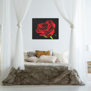 Red rose on black with water droplets photo canvas