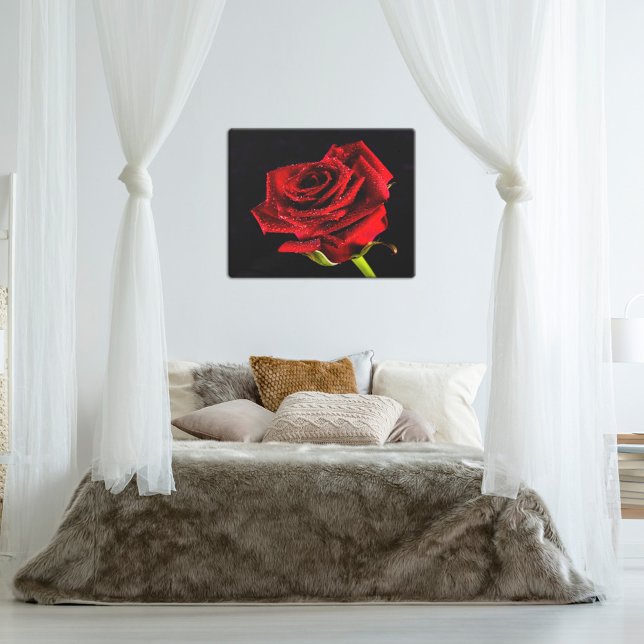 Red rose on black with water droplets photo canvas print (Creator Uploaded)