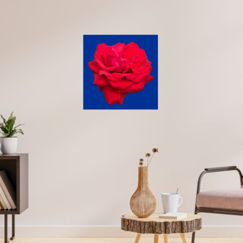 Red Rose on Blue Background Art Print 