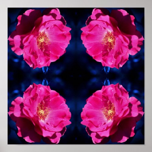 Red Rose On Blue Tint Abstract Flower   Poster