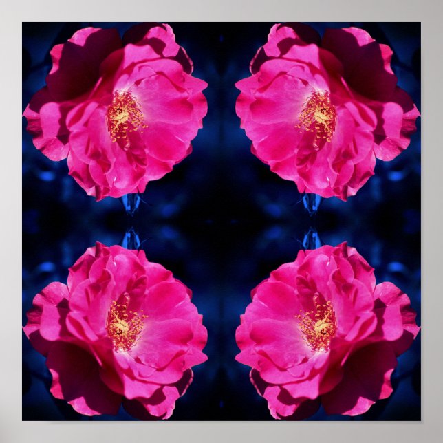 Red Rose On Blue Tint Abstract Flower   Poster (Front)