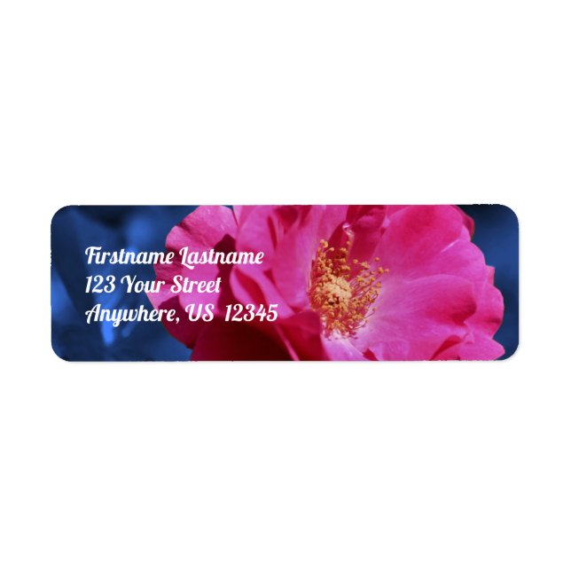Red Rose On Blue Tint Flower Address Label (Front)
