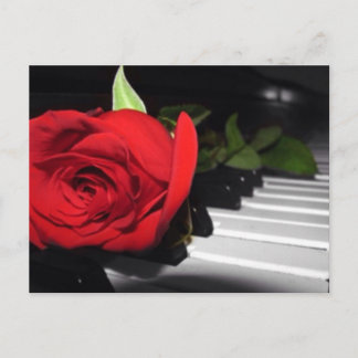 Red Rose on Piano Postcard