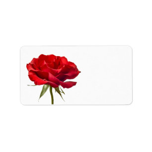 Red Rose on White - Customized Roses Template Label