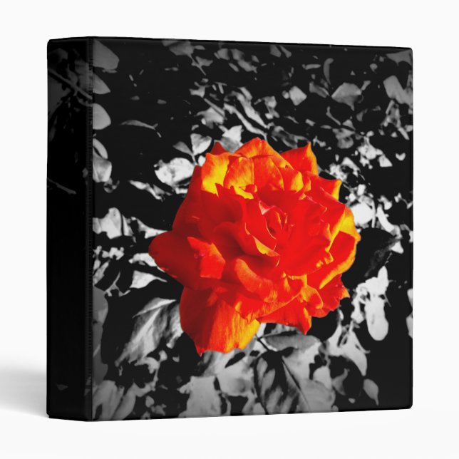 Red rose One Touch Ring Avery Signature 1" Binder (Front/Spine)