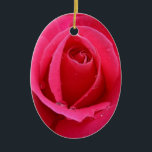 Red Rose Ornament Romantic Rose Decorations<br><div class="desc">Romantic Rose Ornaments Holiday Red Rose Classic Decorations Beautiful Romantic Christmas Gifts Hanukkah Neutral Holiday Decorations Keepsakes & Gifts for Anniversary Birthday Friends Family Men Women Kids Home & Office Original Stylish Nondenominational Holiday Art Decorations Holiday Greetings Christmas / Hanukkah Cards & Nonsecular Holiday Gifts Design by Kim Hunter. See...</div>