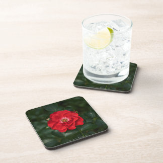Red Rose P6568 Beverage Coaster