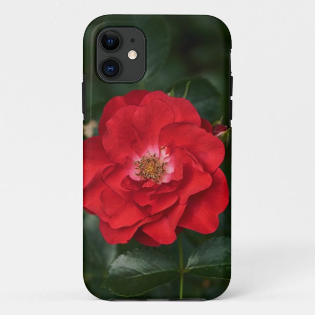 Red Rose P6568 Case-Mate iPhone Case (Back)
