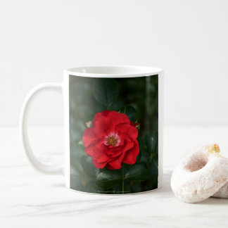 Red Rose P6568 Coffee Mug