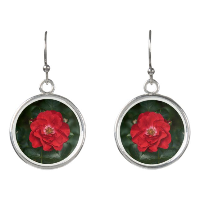 Red Rose P6568 Earrings (Front)