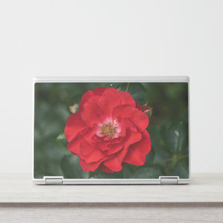 Red Rose P6568 HP Laptop Skin