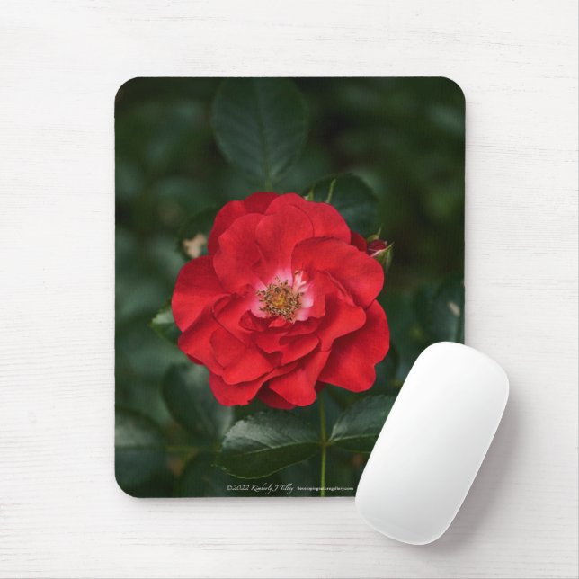 Red Rose P6568 Mouse Pad (With Mouse)