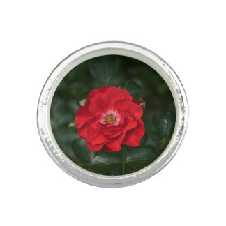 Red Rose P6568 Ring