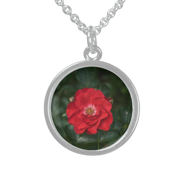 Red Rose P6568 Sterling Silver Necklace (Front)