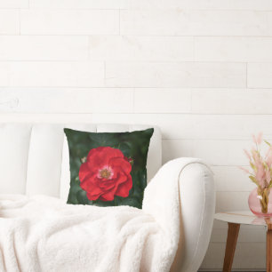 Red Rose P6568 Throw Pillow